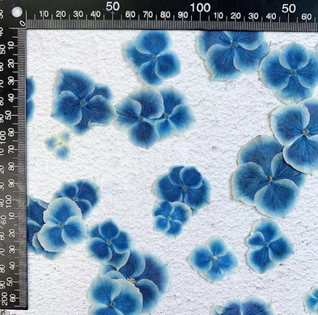 Resin Art Bookmark - Pressed Dried White Blue Hydrangea Plant