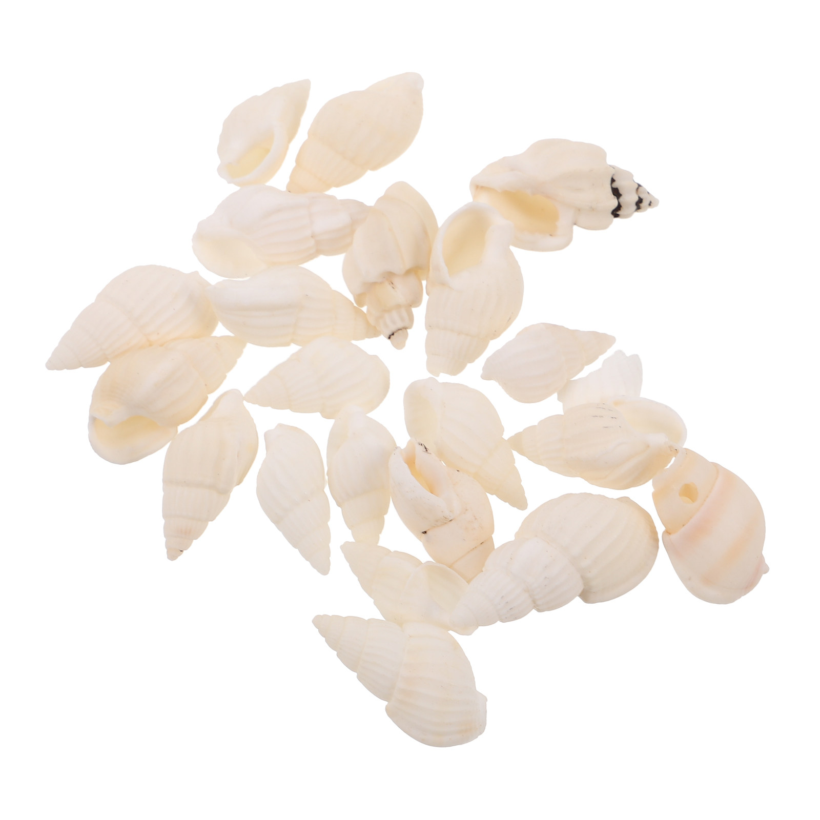 Resin Art Beach Theme - 20Pcs White Spiral Seashells Ocean Themed