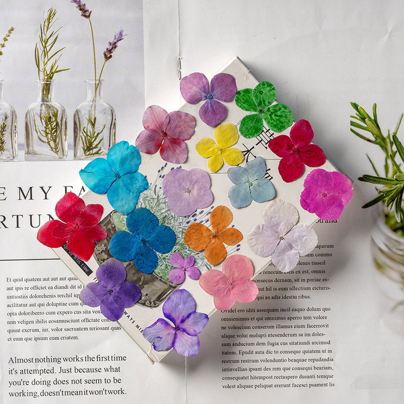 60Pcs Anna Hydrangea Color-Abs - Resin Art Bookmark 评论和价格