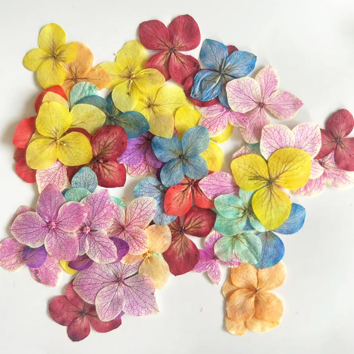 60Pcs Anna Hydrangea Color-Abs - Resin Art Bookmark 评论和价格