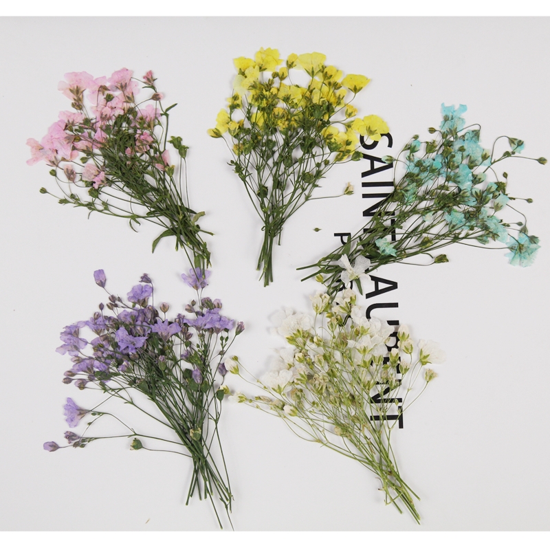 250pcs Pressed Dried Gypsophil - Resin Art Bookmark 评论和价格