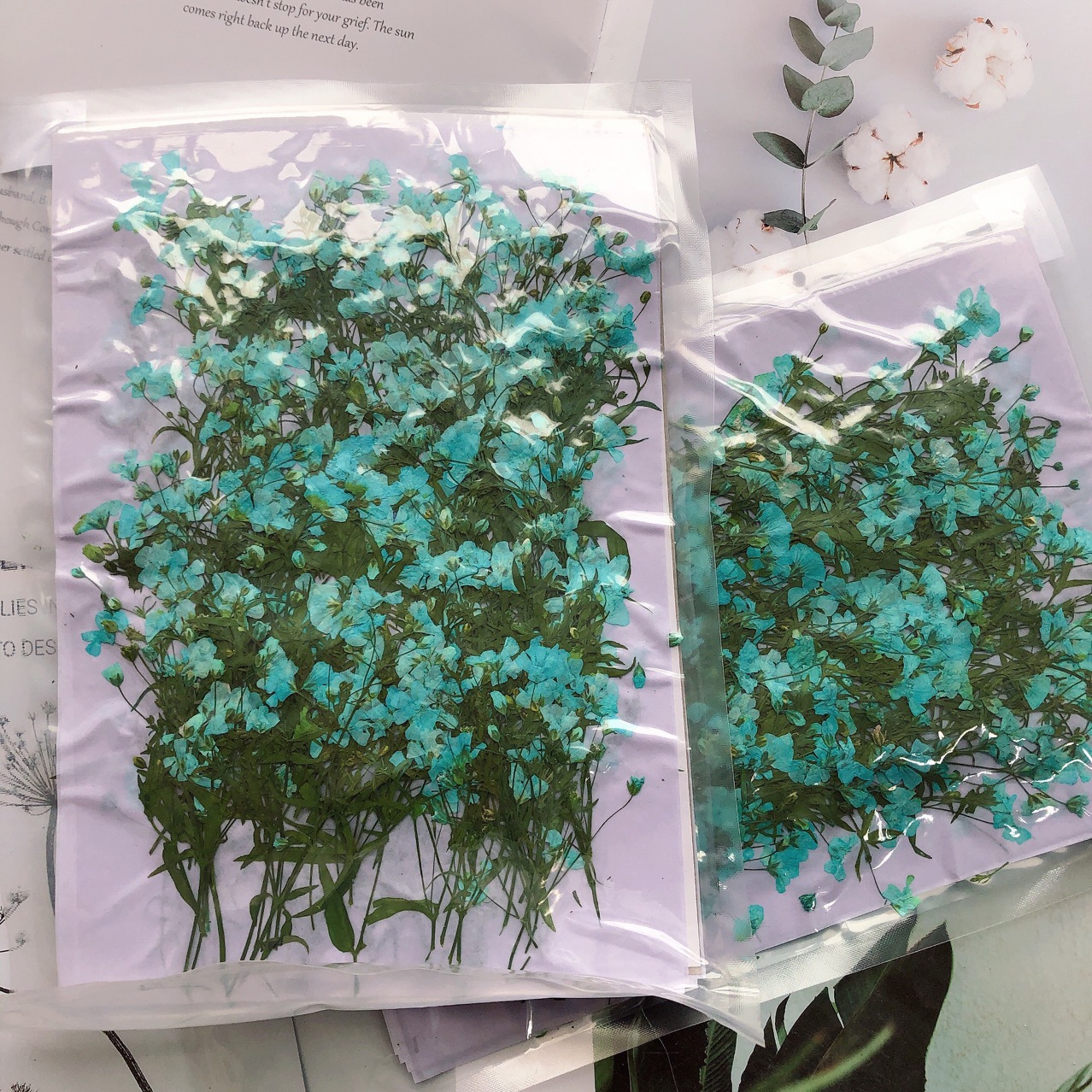 250pcs Pressed Dried Gypsophil - Resin Art Bookmark 评论和价格