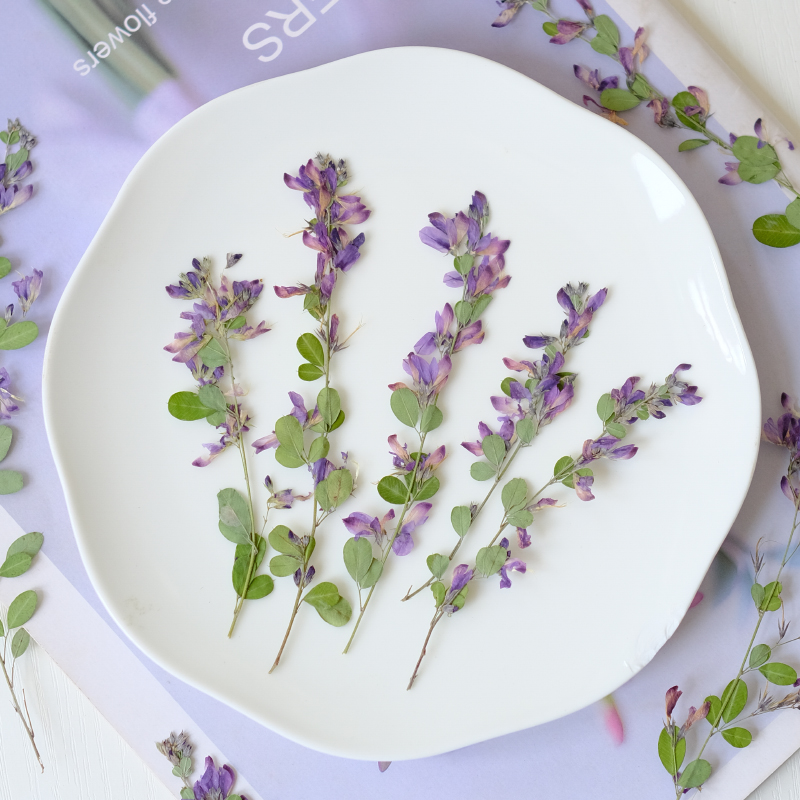 6pcs,nature Lespedeza Formosa  - Resin Art Bookmark 评论和价格
