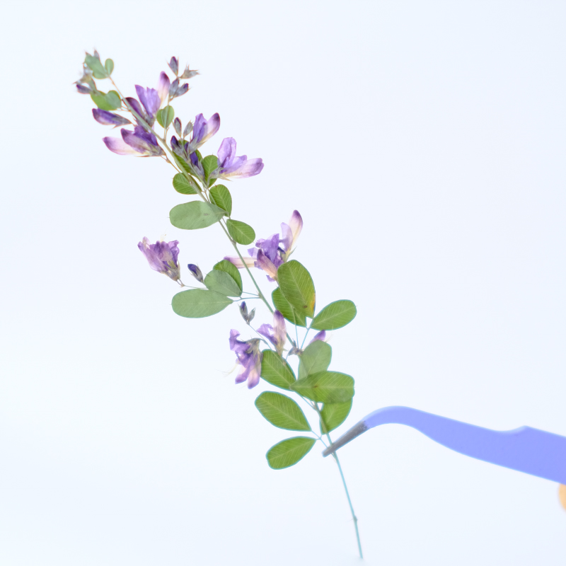 6pcs,nature Lespedeza Formosa  - Resin Art Bookmark 评论和价格