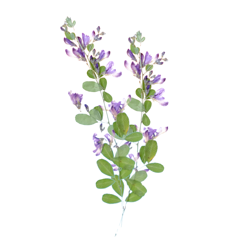 6pcs,nature Lespedeza Formosa  - Resin Art Bookmark 评论和价格