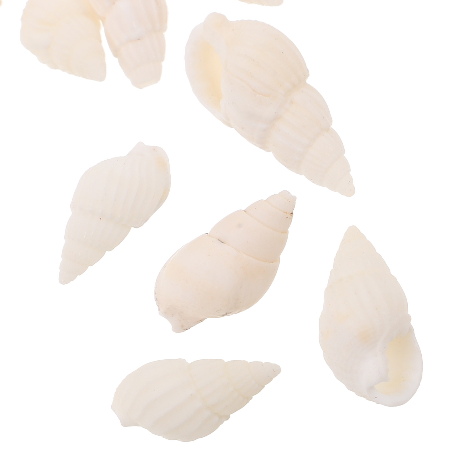 20Pcs White Spiral Seashells O - Resin Art Beach Theme 评论和价格
