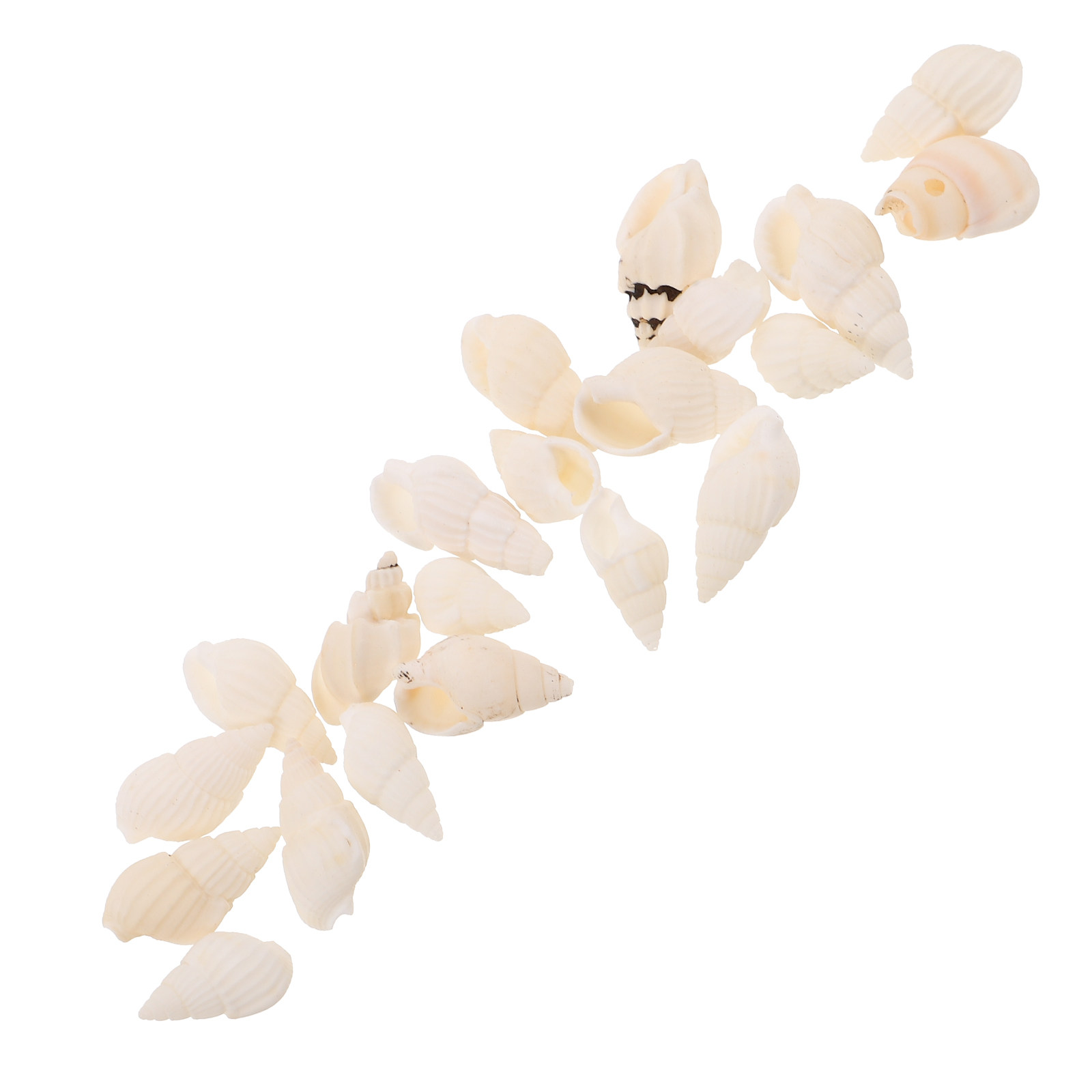 20Pcs White Spiral Seashells O - Resin Art Beach Theme 评论和价格