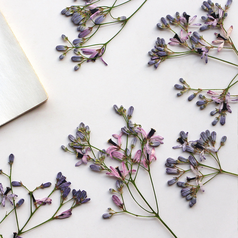 60Pcs Neem Tree Flower Branche - Resin Art Bookmark 评论和价格