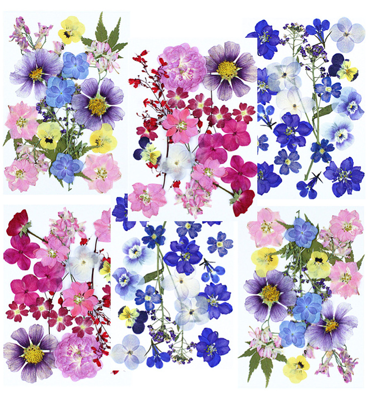 20 Types of Brightly Colored N - Resin Art Bookmark 评论和价格