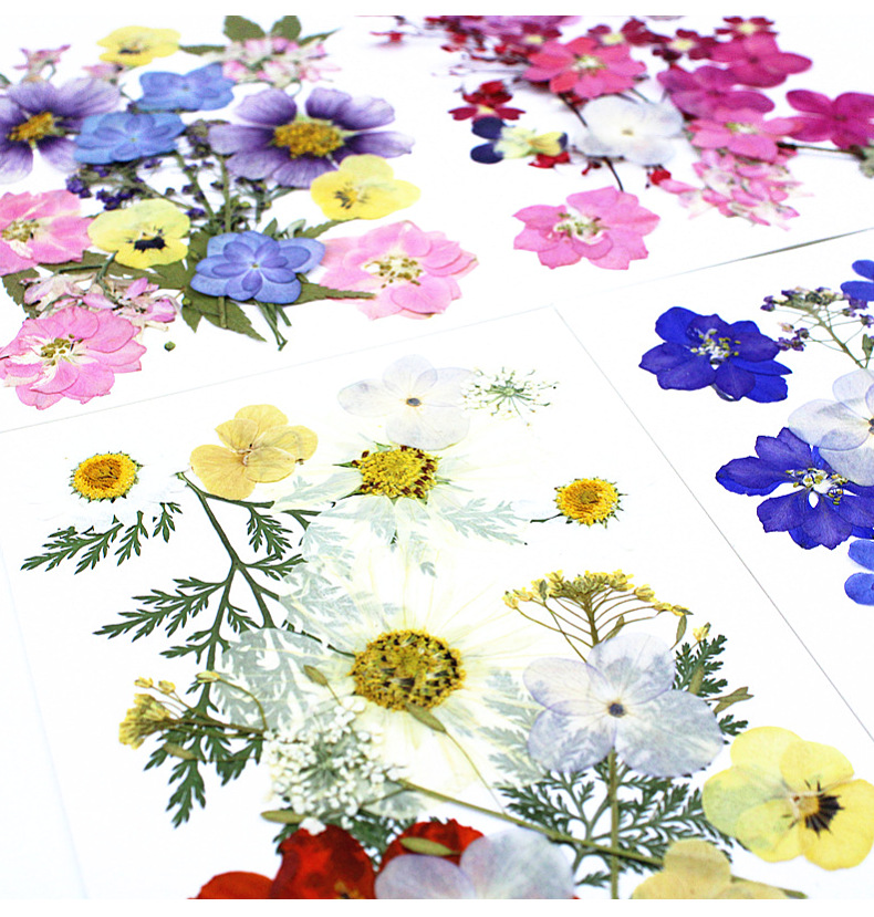 20 Types of Brightly Colored N - Resin Art Bookmark 评论和价格