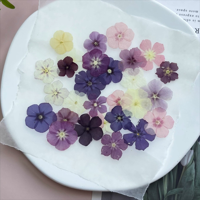 12pcs,Semi-Transparent Niche P - Resin Art Case 评论和价格