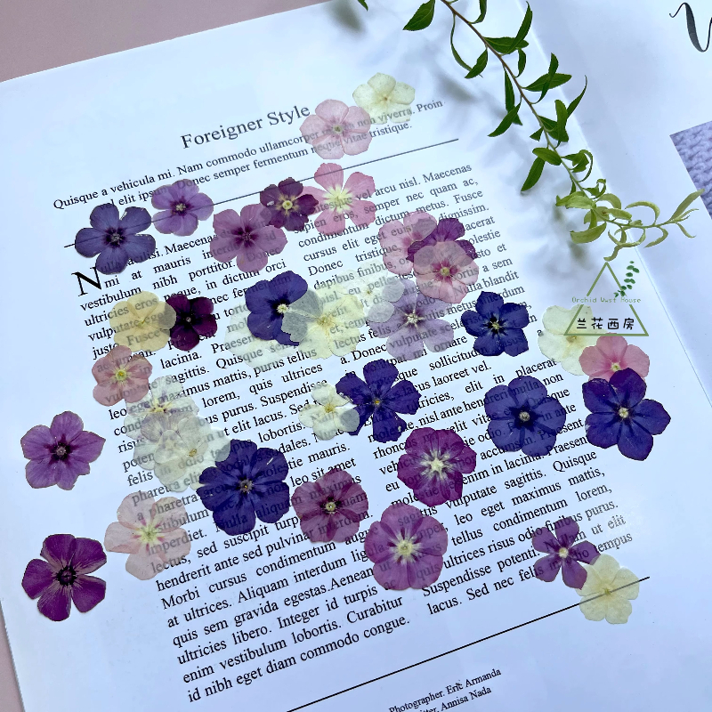 12pcs,Semi-Transparent Niche P - Resin Art Case 评论和价格