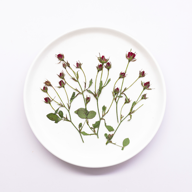 12pcs,Dried Rose Multi Bud Bra - Resin Art Bookmark 评论和价格