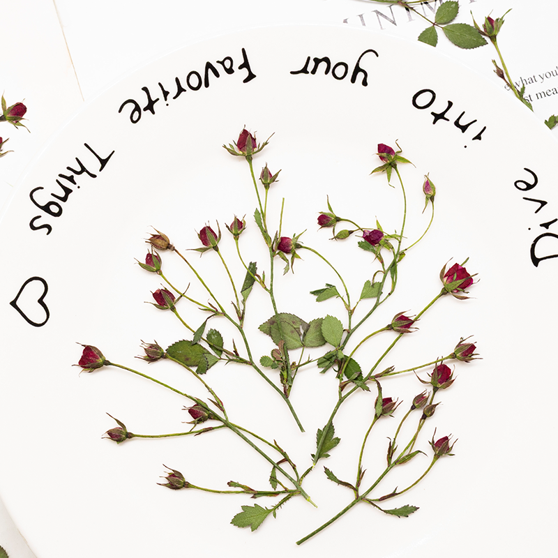 12pcs,Dried Rose Multi Bud Bra - Resin Art Bookmark 评论和价格